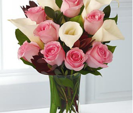 FR026